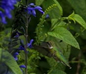 2023 09 17 LongFellowGardens 052